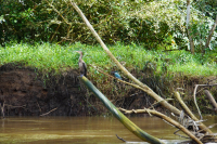 Parque Volcán Arenal