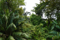 Parque Volcán Arenal