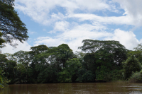 Parque Volcán Arenal