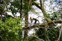 Parque Volcán Arenal