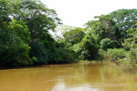 Parque Volcán Arenal