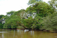 Parque Volcán Arenal