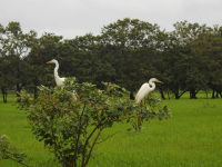 Parque Volcán Arenal