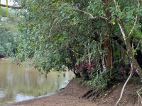 Parque Volcán Arenal