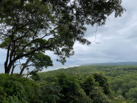 Nosara