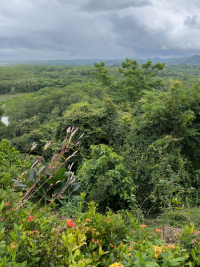 Nosara