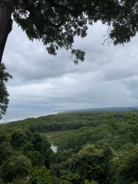 Nosara