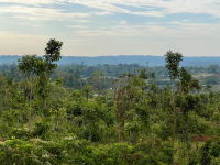 Nyang'oma Kogelo