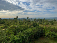 Nyang'oma Kogelo