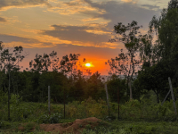 Nyang'oma Kogelo