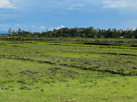 Kericho