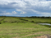 Kericho