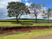 Kericho