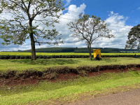 Kericho