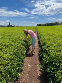 Kericho