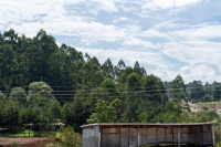 Kericho