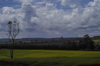 Kericho