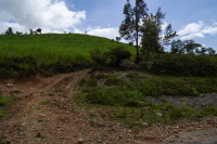 Kericho