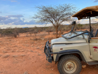 Samburu National Park