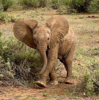 Samburu National Park