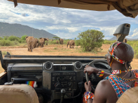 Samburu National Park