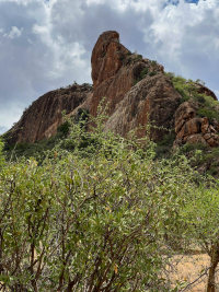 Samburu National Park