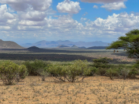 Samburu National Park