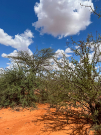 Samburu National Park