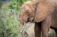 Samburu National Park