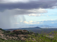 Samburu National Park
