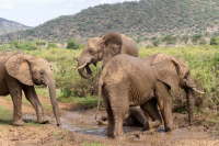 Samburu National Park