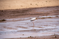 Samburu National Park