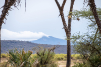 Samburu National Park