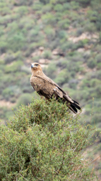 Samburu National Park