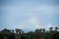 Samburu National Park