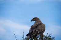 Samburu National Park