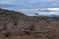 Samburu National Park