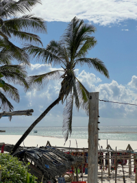 Diani Beach