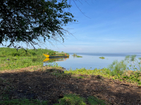Kisumu Impala Sanctuary