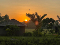 Nyang'oma Kogelo
