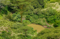 Nairobi