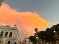 Merida