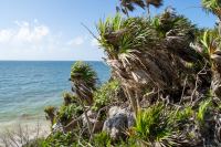 Tulum
