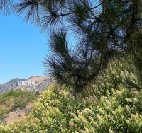 Los Angeles