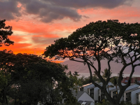 Maui