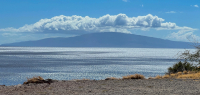 Maui