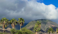 Maui