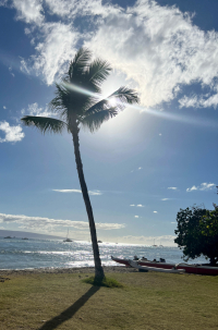 Maui