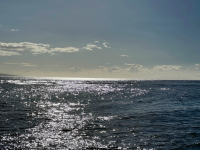 Maui