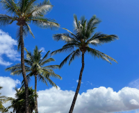 Maui